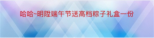 哈哈~明陞端午节送高档粽子礼盒一份